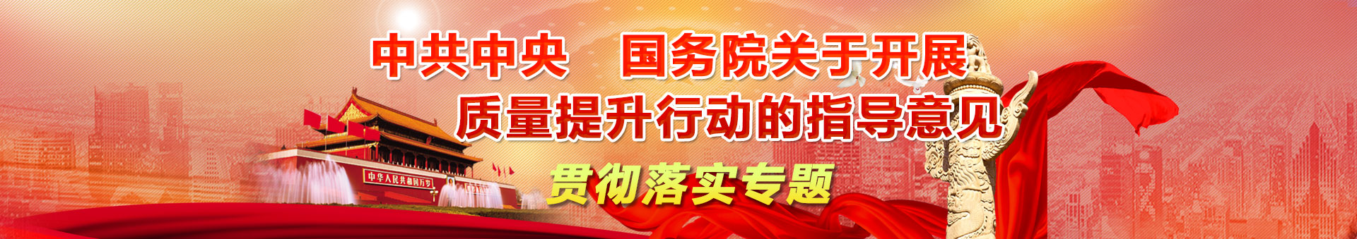 《中共中央 國務(wù)院關(guān)于開展質(zhì)量提升行動的指導(dǎo)意見 》貫徹落實(shí)專題